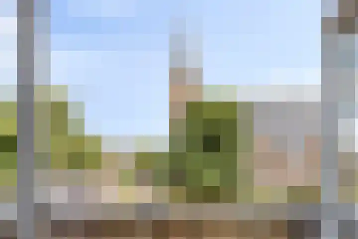 Berghemseweg 29 A Oss thumbnail 4
