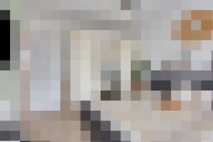 Berghemseweg 47 Oss thumbnail 15