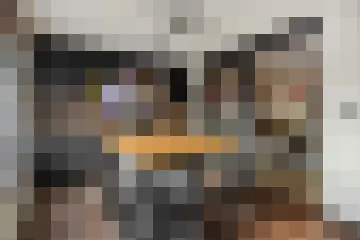Berghemseweg 63 Oss thumbnail 12