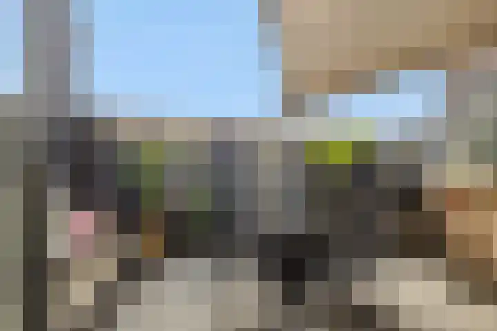Berghemseweg 63 Oss thumbnail 16