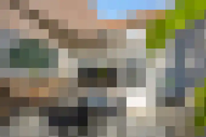 Berghemseweg 63 Oss thumbnail 18