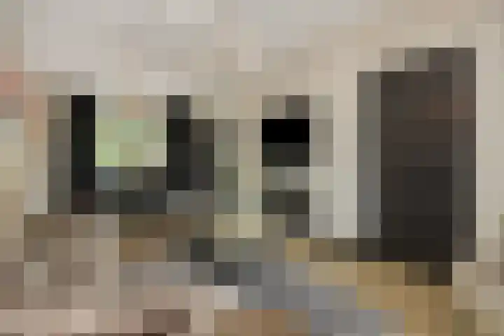 Berghemseweg 63 Oss thumbnail 9