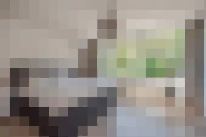 Berghuyspad 9 Delft thumbnail 18