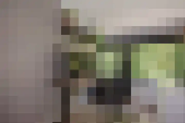 Berghuyspad 9 Delft thumbnail 30