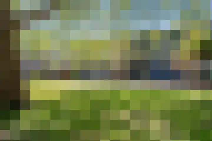 Berghuyspad 9 Delft thumbnail 33