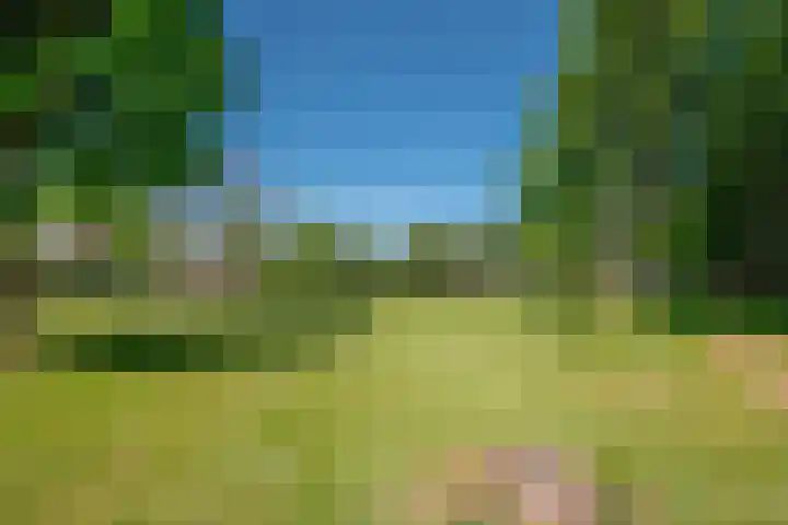 Berghuyspad 9 Delft thumbnail 34