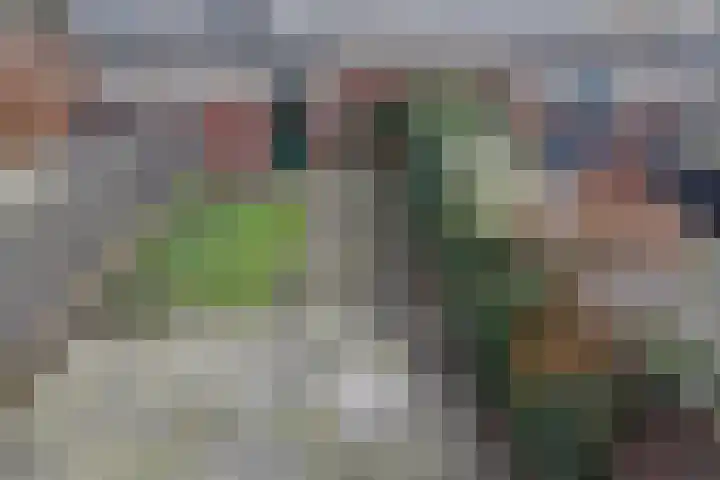 Bergkristal 6 Zoetermeer thumbnail 22