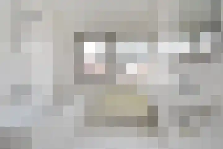 Bergkristal 6 Zoetermeer thumbnail 25
