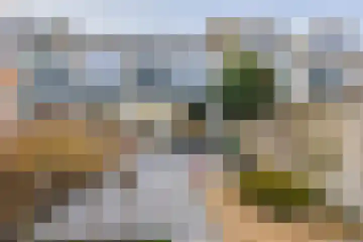 Berglaan 120 Zoetermeer thumbnail 19