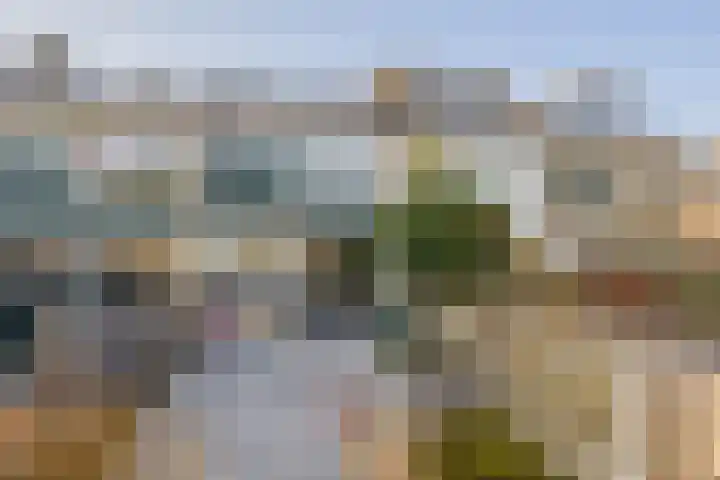 Berglaan 120 Zoetermeer thumbnail 20
