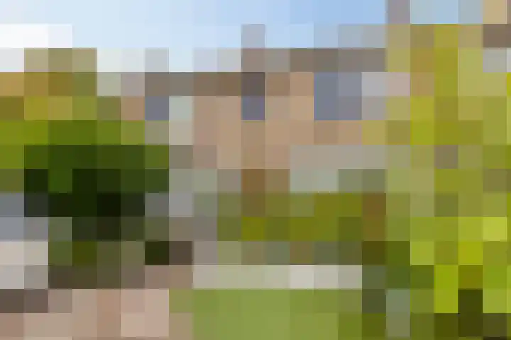 Berglaan 48 Zoetermeer thumbnail 5