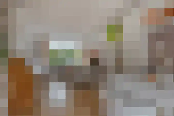 Berglaan 48 Zoetermeer thumbnail 9