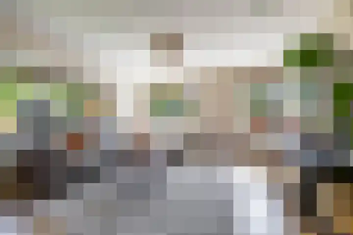 Bergpad 20 Schildwolde thumbnail 11