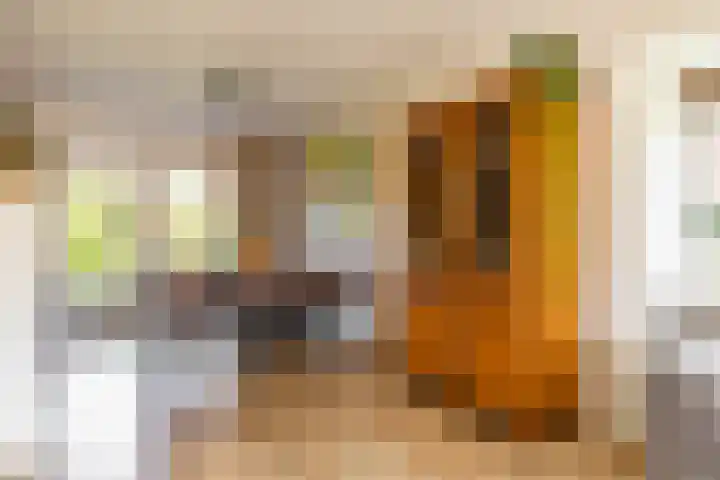 Bergpad 20 Schildwolde thumbnail 14