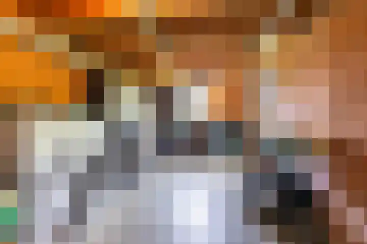 Bergpad 20 Schildwolde thumbnail 23