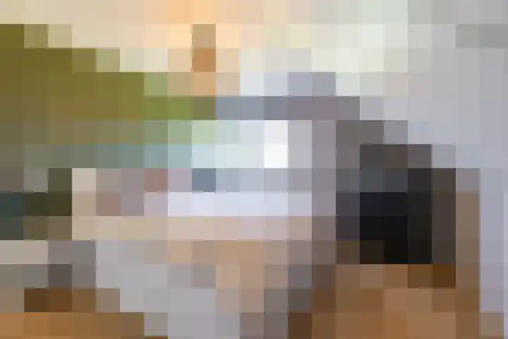 Bergpad 20 Schildwolde thumbnail 26