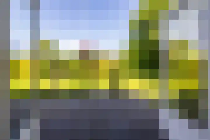 Bergpad 20 Schildwolde thumbnail 35