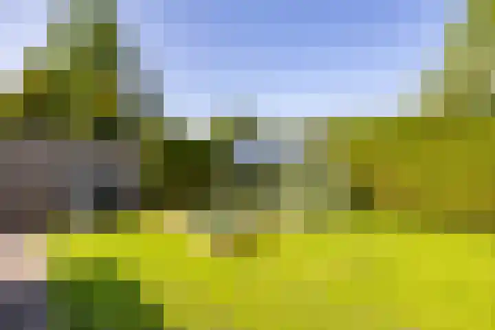 Bergpad 20 Schildwolde thumbnail 38