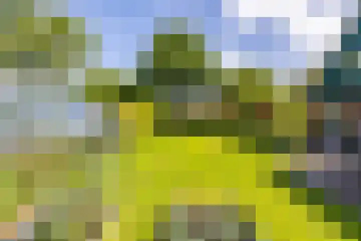 Bergpad 20 Schildwolde thumbnail 40