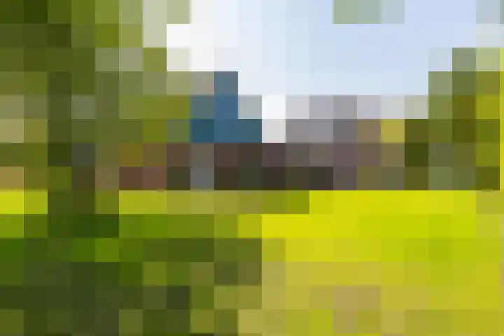 Bergpad 20 Schildwolde thumbnail 41