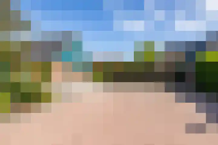 Bergpad 20 Schildwolde thumbnail 6