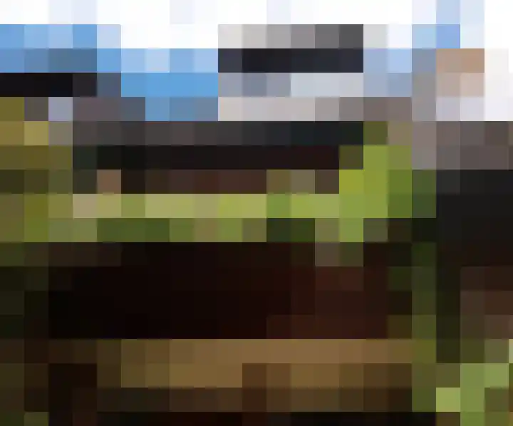 Bergse Maas 8 Pijnacker thumbnail 31