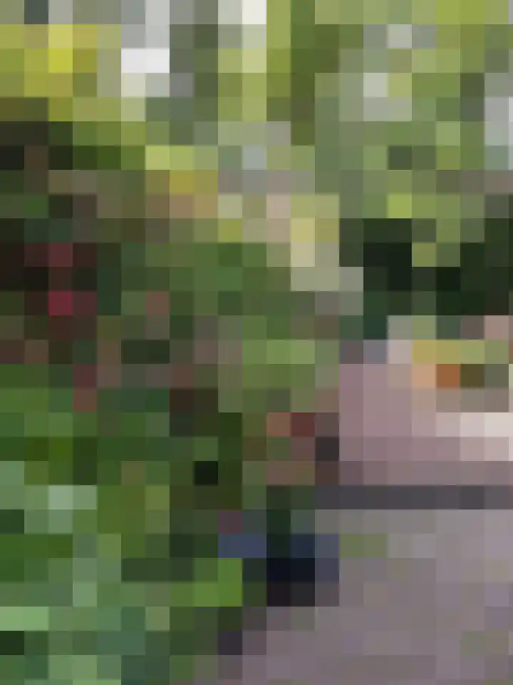 Bergse Maas 8 Pijnacker thumbnail 32