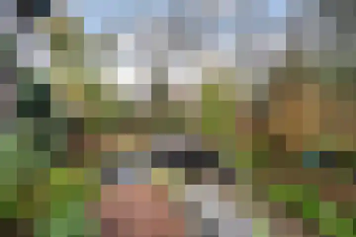 Bergse Maas 8 Pijnacker thumbnail 34