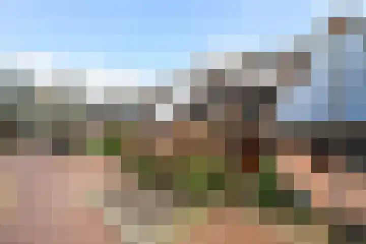 Bergse Maas 8 Pijnacker thumbnail 36