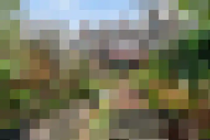 Bergse Maas 8 Pijnacker thumbnail 7