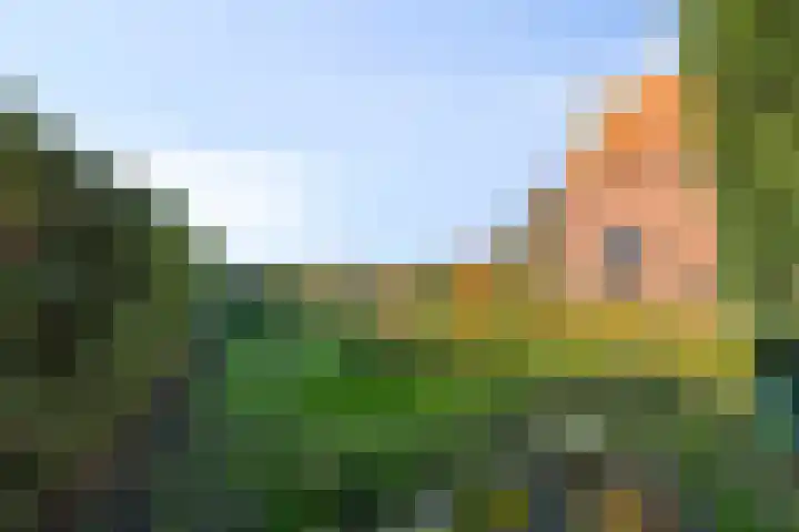 Bergsebaan 38 Heerle thumbnail 25