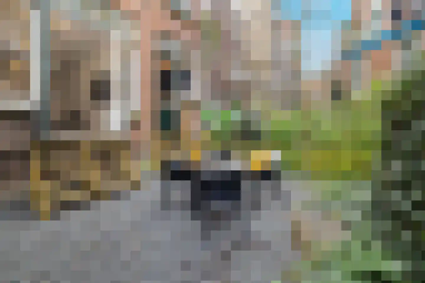 Bergselaan 131 A Rotterdam thumbnail 11