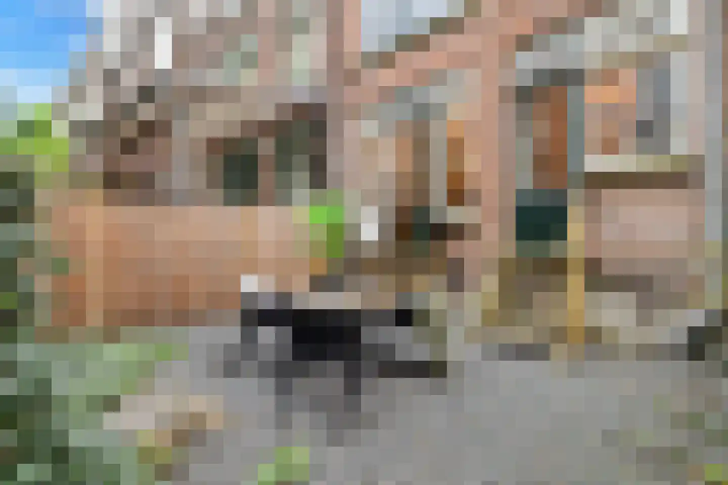 Bergselaan 131 A Rotterdam thumbnail 12