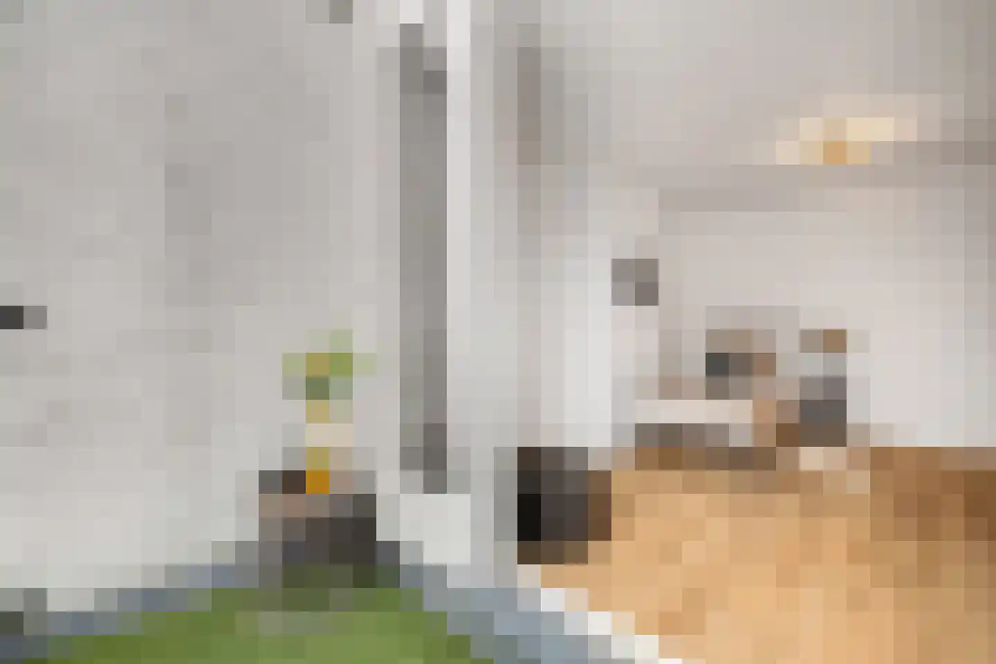 Bergselaan 131 A Rotterdam thumbnail 52