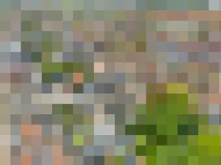 Bergseveld 21 Werkendam thumbnail 27