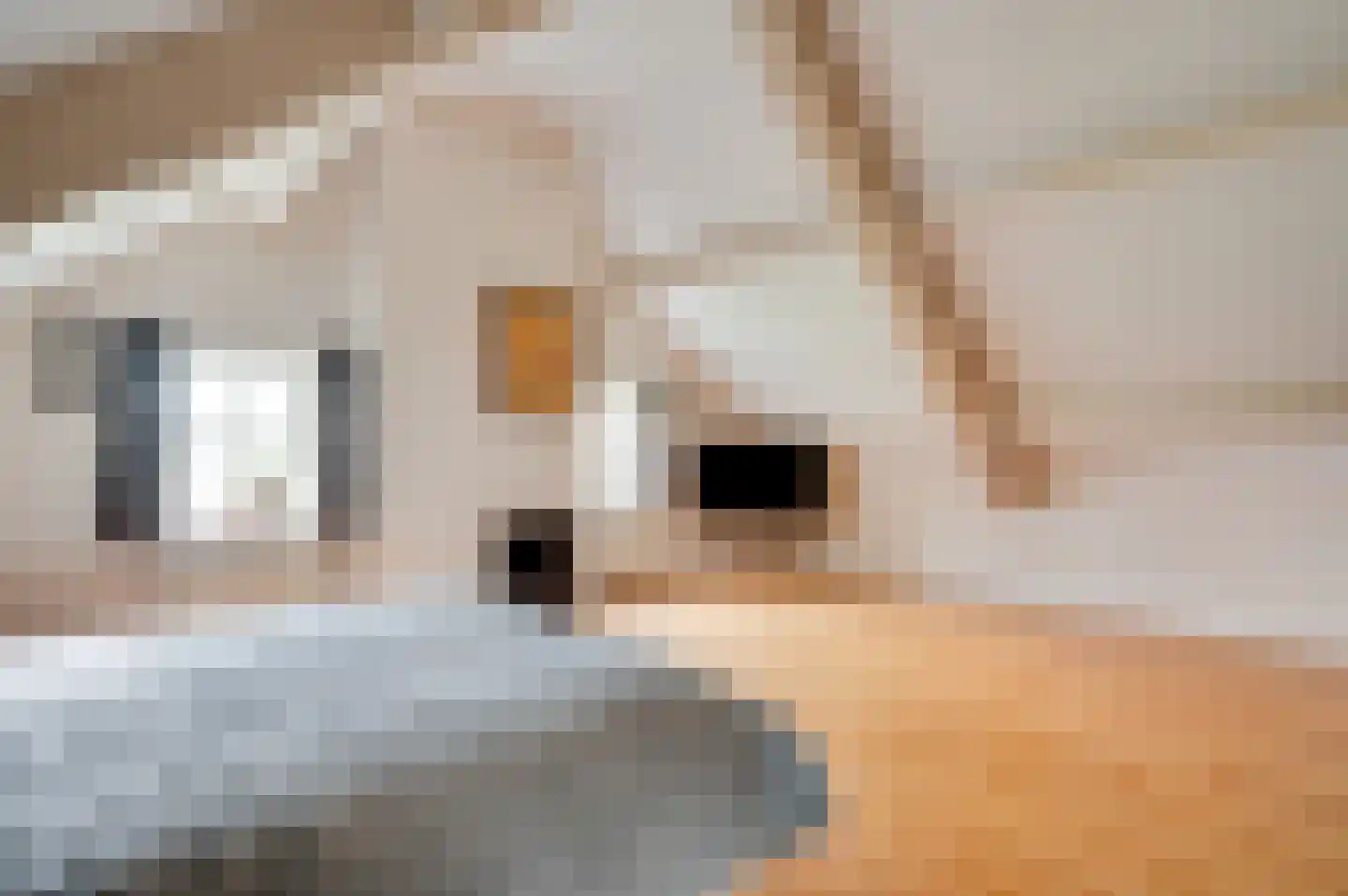Bergsheisteeg 1 Weert thumbnail 31