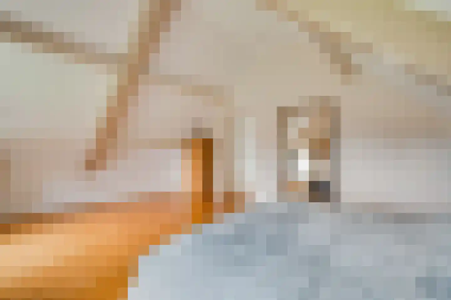 Bergsheisteeg 1 Weert thumbnail 32