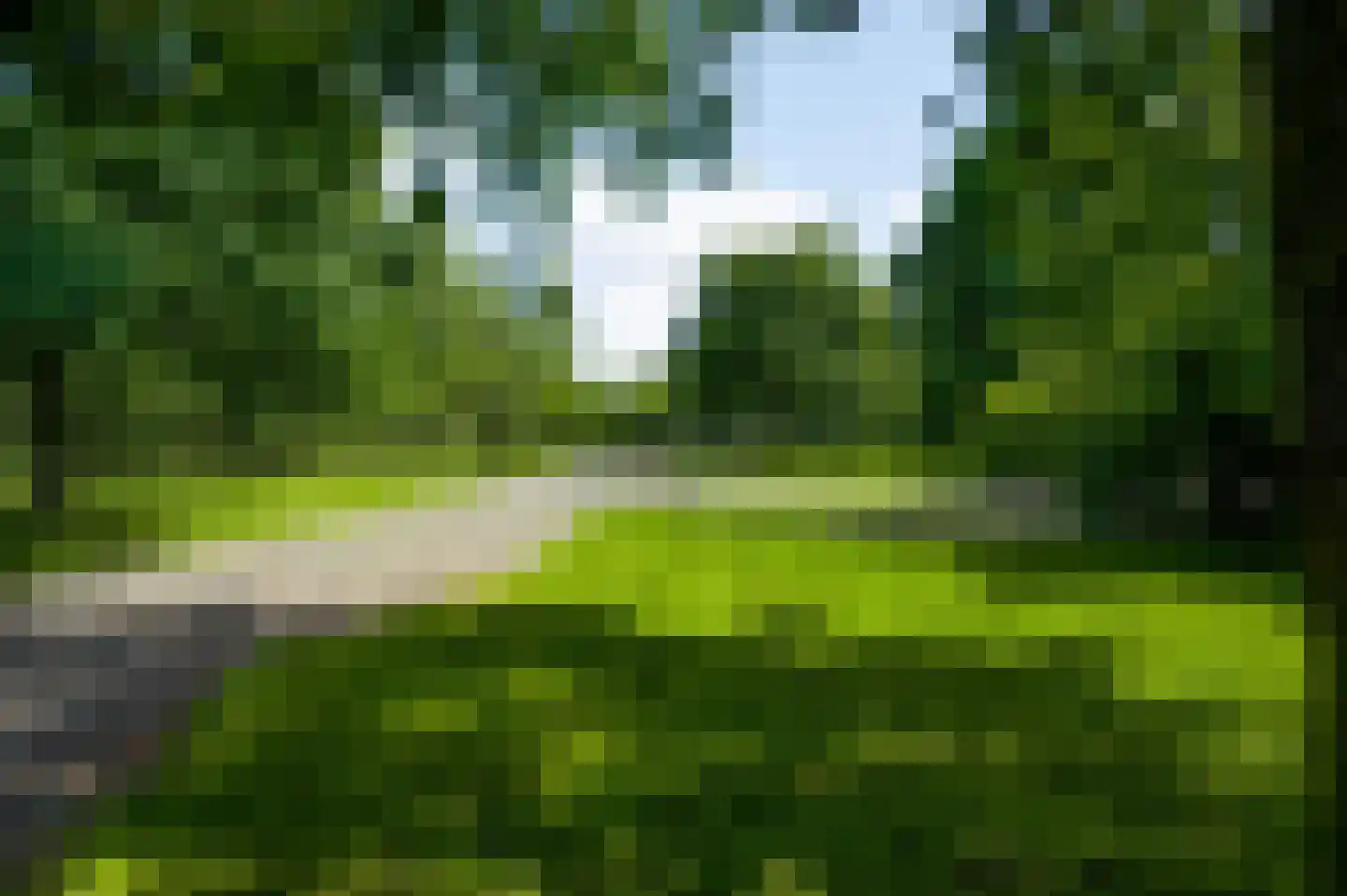 Bergsheisteeg 1 Weert thumbnail 4
