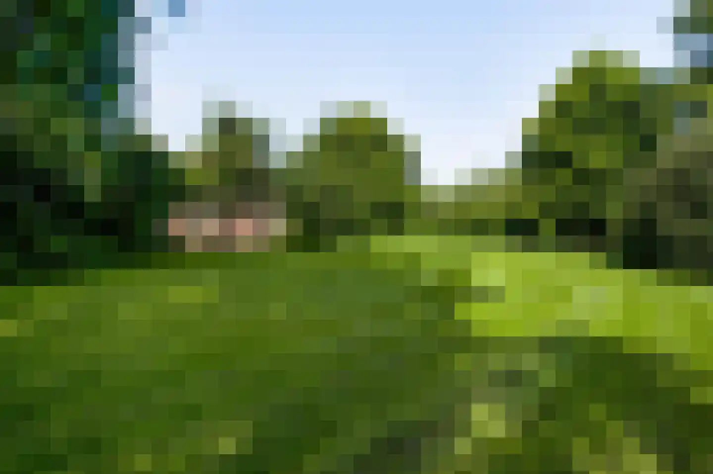 Bergsheisteeg 1 Weert thumbnail 44