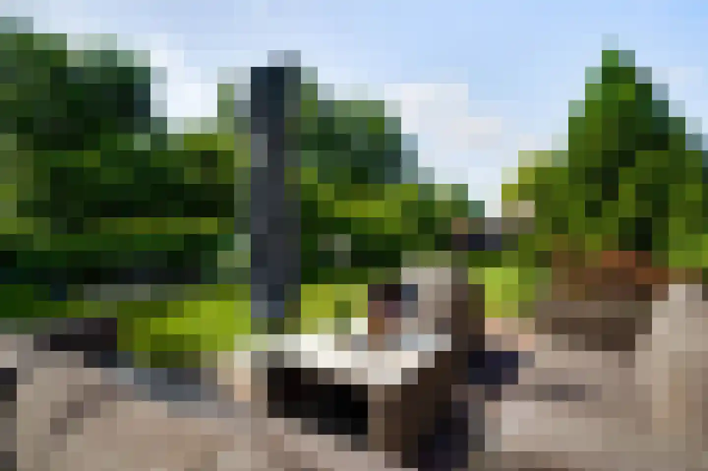 Bergsheisteeg 1 Weert thumbnail 47