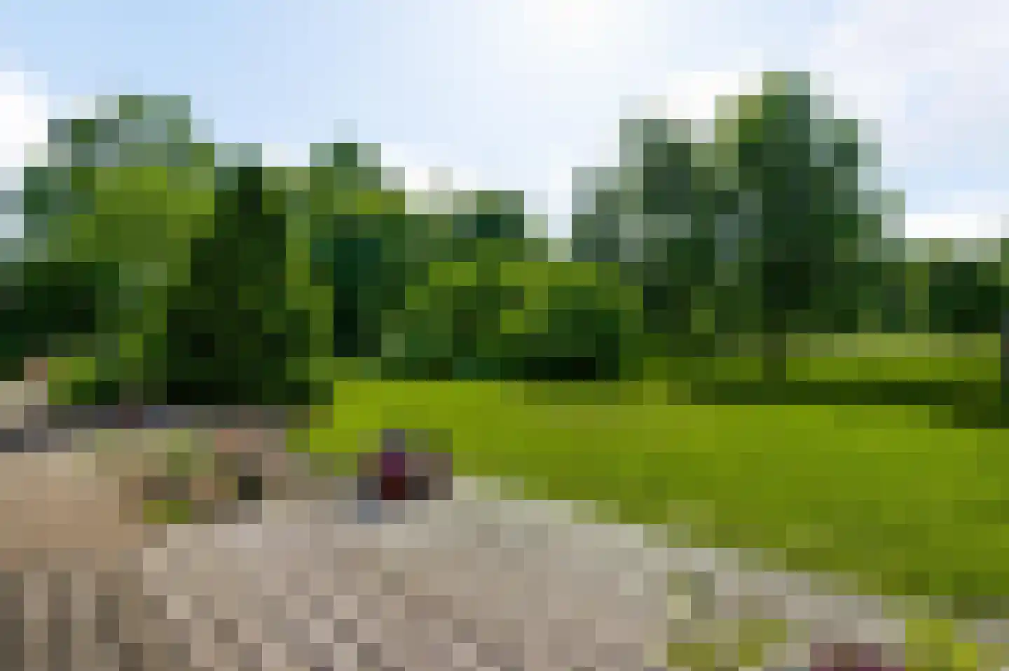 Bergsheisteeg 1 Weert thumbnail 50