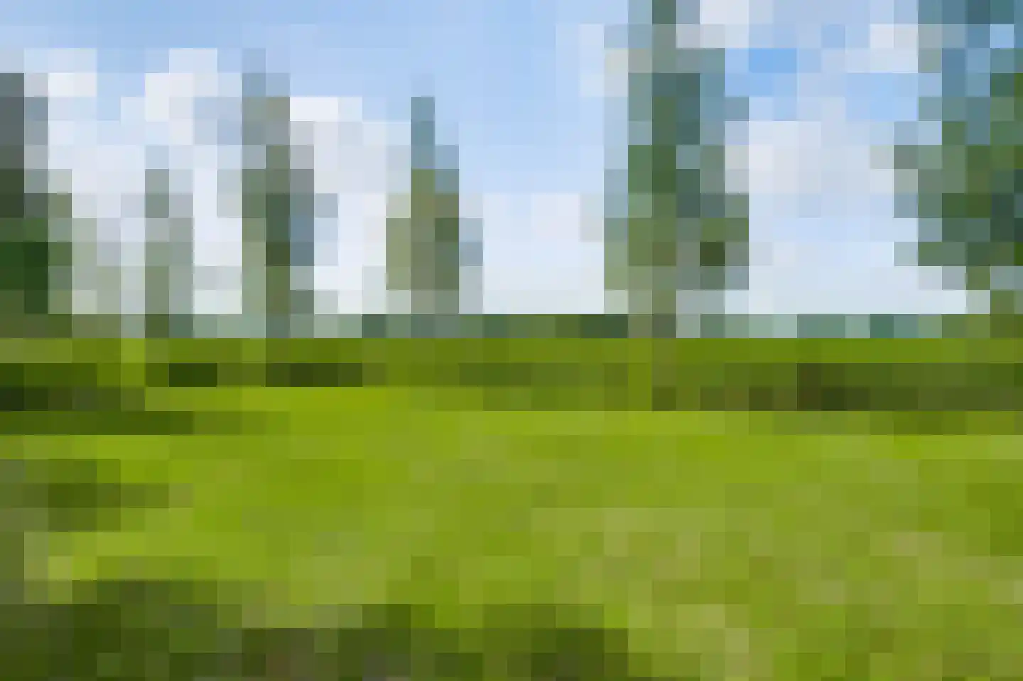 Bergsheisteeg 1 Weert thumbnail 56