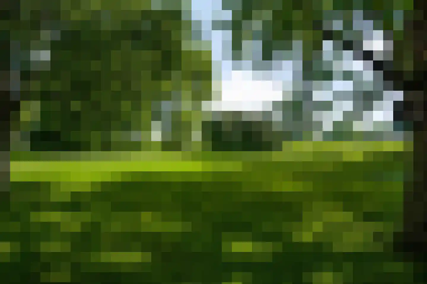 Bergsheisteeg 1 Weert thumbnail 57