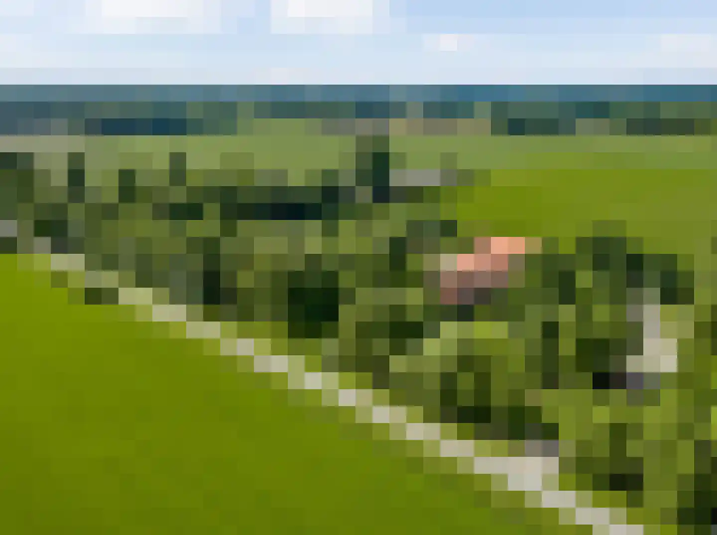 Bergsheisteeg 1 Weert thumbnail 6