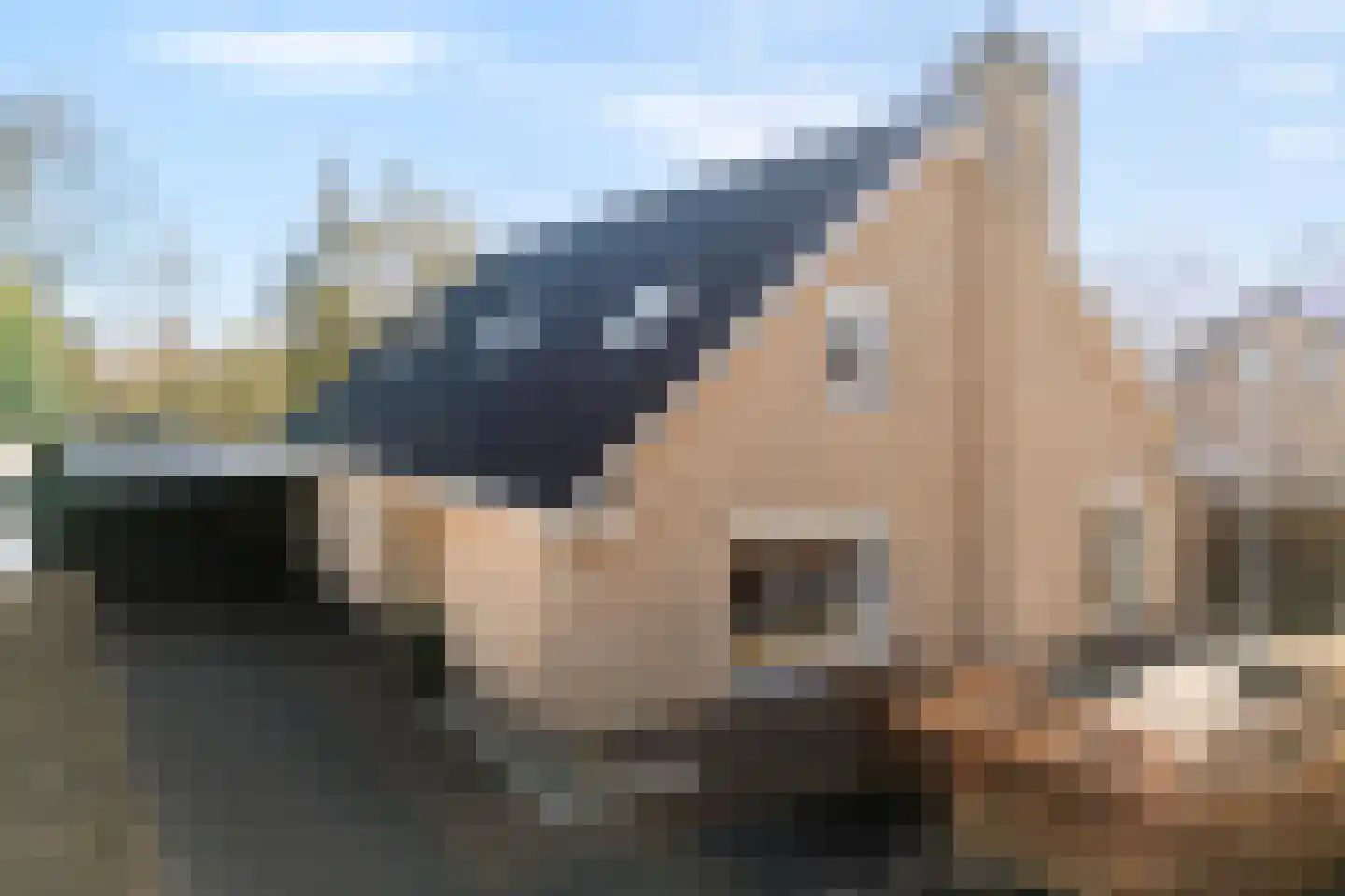 Bergsteinlaan 5 Tuk