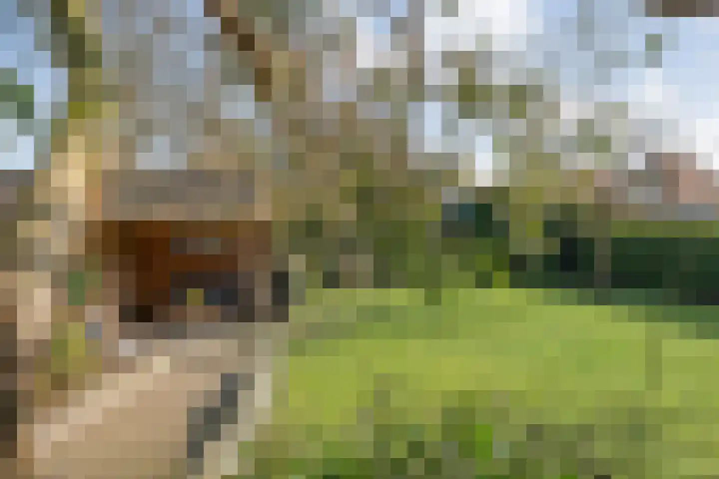 Bergsteinlaan 5 Tuk thumbnail 38