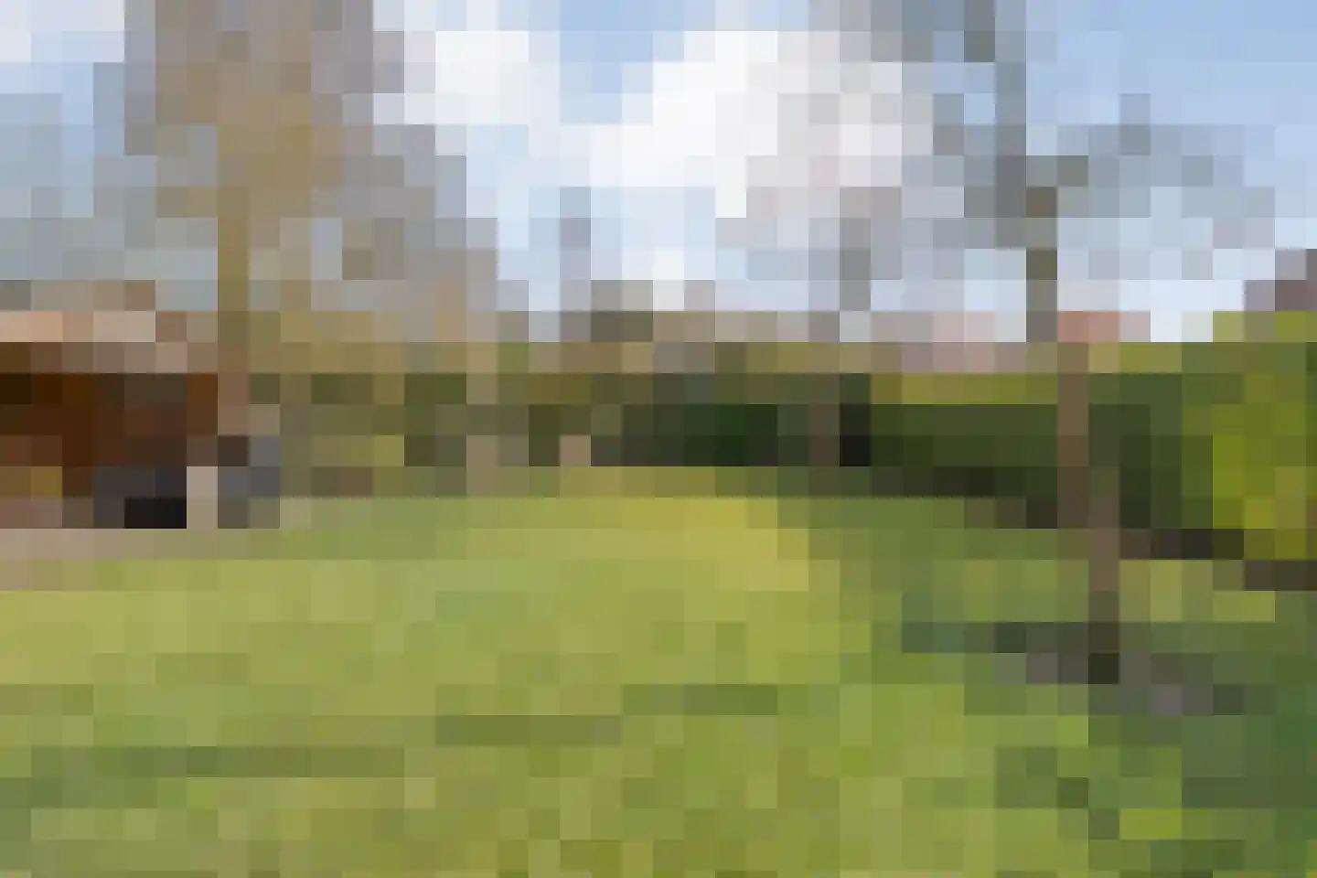 Bergsteinlaan 5 Tuk thumbnail 40
