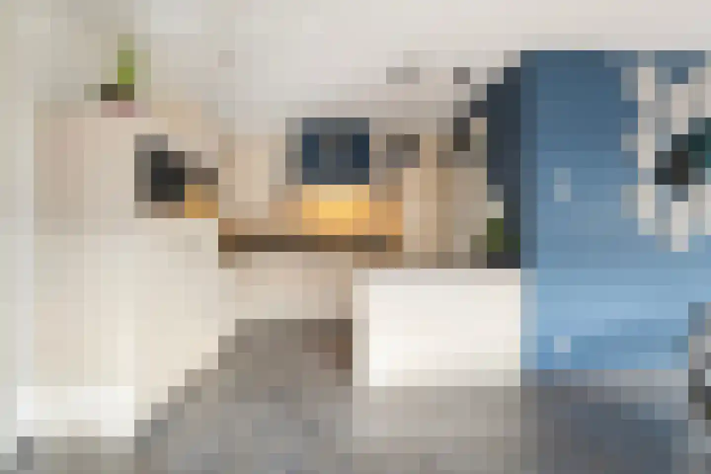 Bergsteinlaan 5 Tuk thumbnail 9