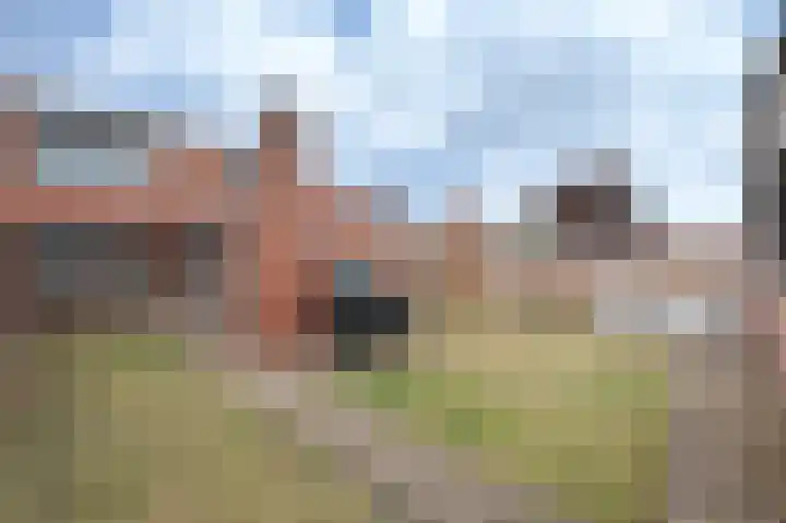 Bergstraat 30 Zegge thumbnail 32