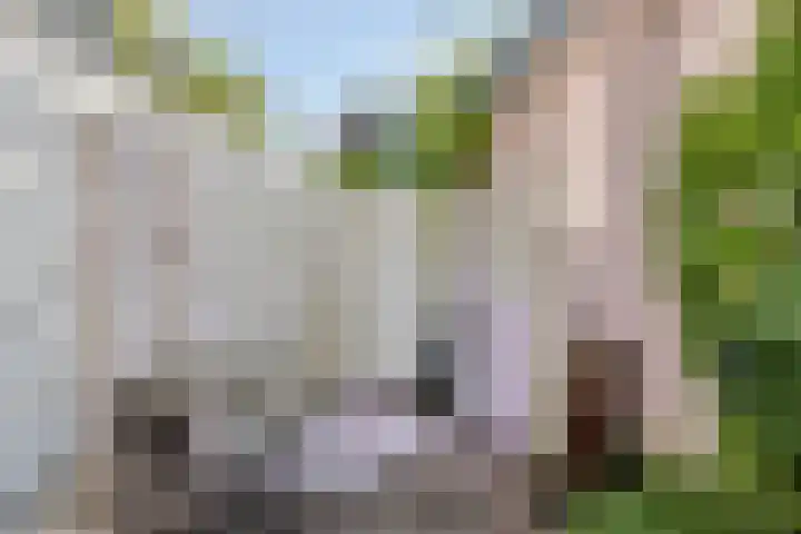 Bergstraat 73 Groningen thumbnail 20